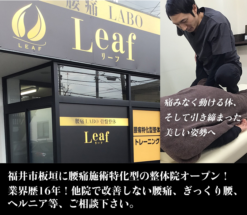 ｜　腰痛LABO 骨盤整体Leaf（リーフ）