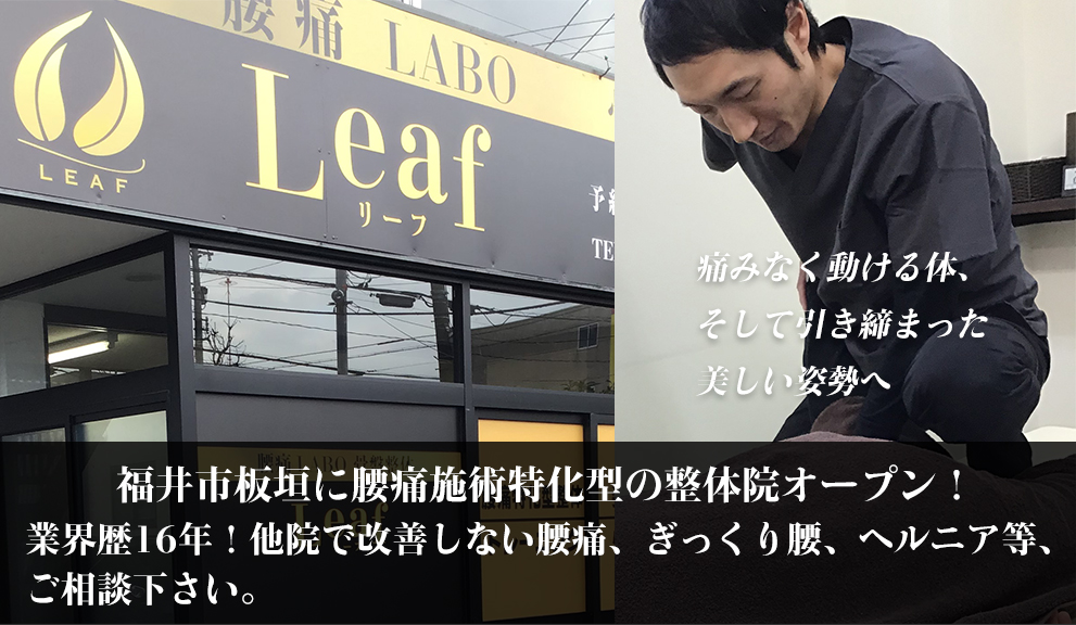 ｜　腰痛LABO 骨盤整体Leaf（リーフ）