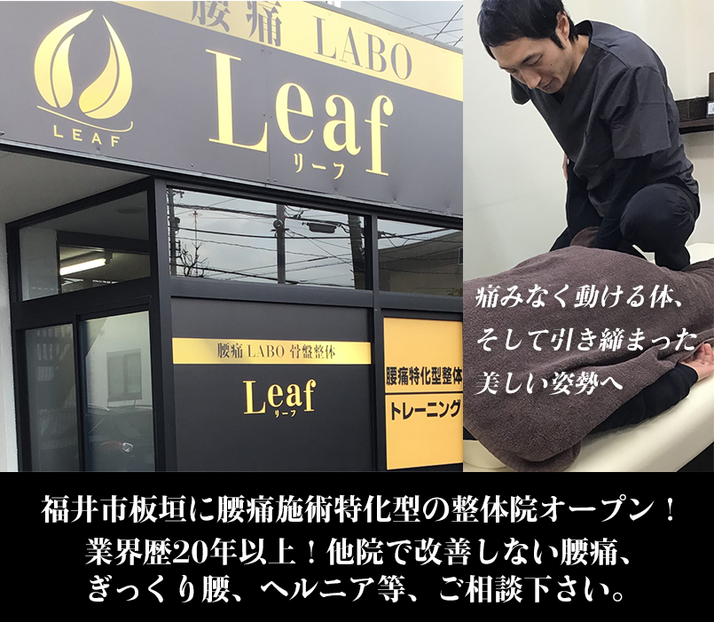 ｜　腰痛LABO 骨盤整体Leaf（リーフ）